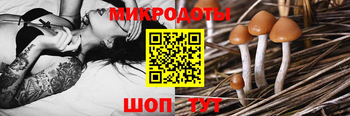 Псилоцибиновые грибы Magic Shrooms Озёры