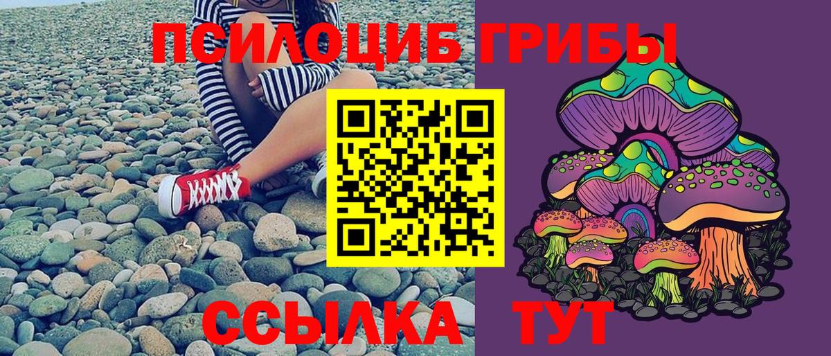 Озёры  Псилоцибиновые грибы мицелий  Галлюциногенные грибы прущие грибы  наркошоп  Вход с VPN 